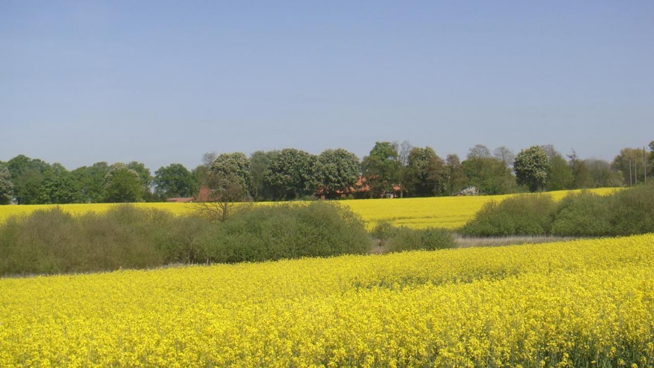 Kleine Auszeit - Natur und Erholung in Mecklenburg Reimershagen Exterior foto