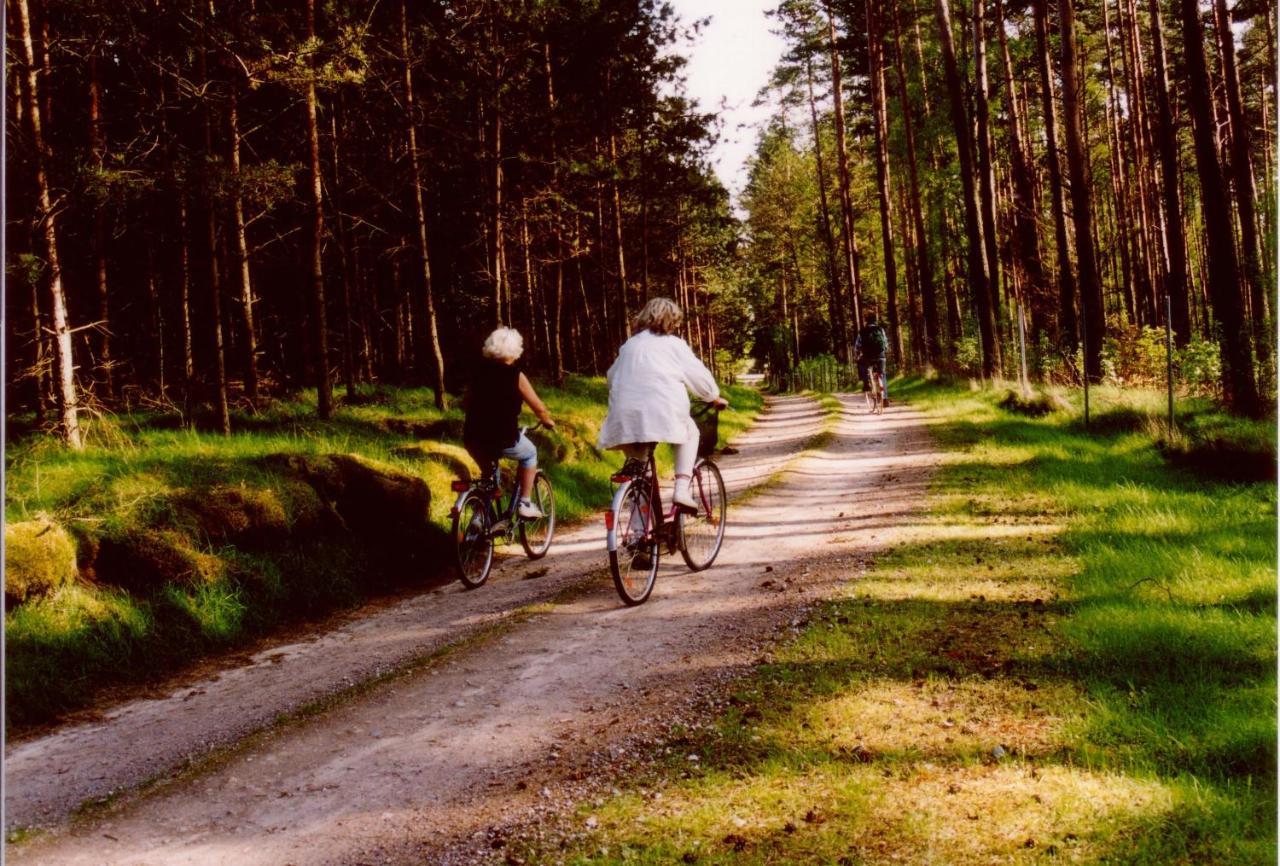 Kleine Auszeit - Natur und Erholung in Mecklenburg Reimershagen Exterior foto